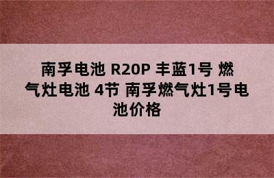 南孚电池 R20P 丰蓝1号 燃气灶电池 4节 南孚燃气灶1号电池价格